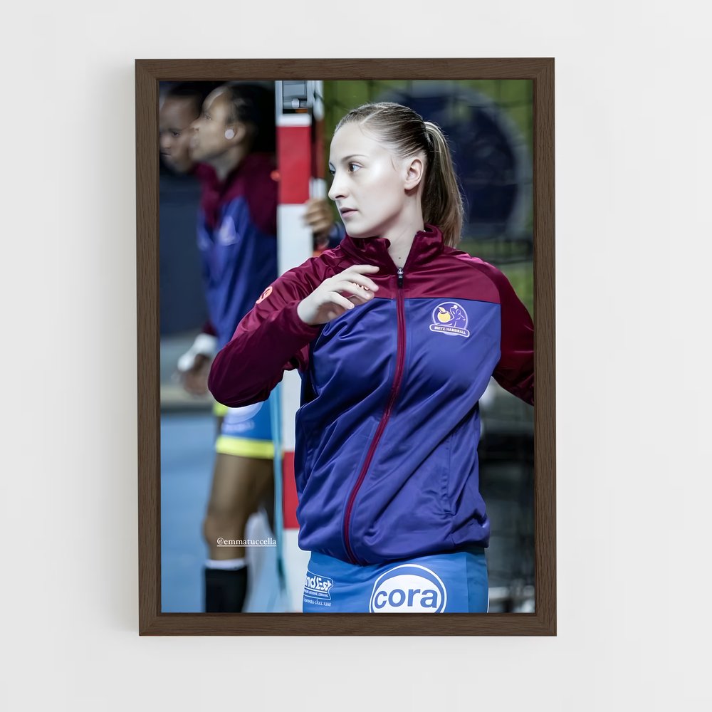 Poster La Ferveur du Handball (vue 5)
